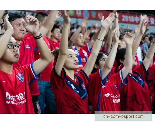 2026年世界杯官方志愿者申请通道正式开启 期待你的加入与支持