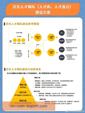 带操梯队建设稳步推进，后备人才不断涌现